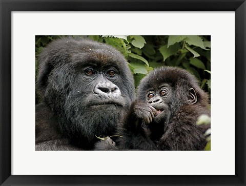 Framed Mother and Baby Print