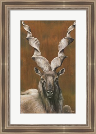 Framed Mighty Markhor Print