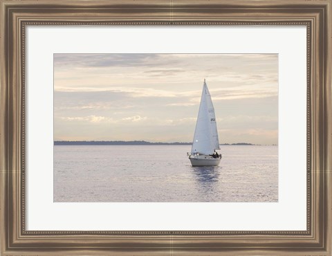 Framed Sailboat in Semiahmoo Bay Print