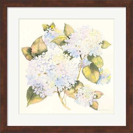 Framed Hydrangeas Print