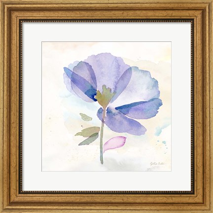 Framed Poppy Single Purple Print