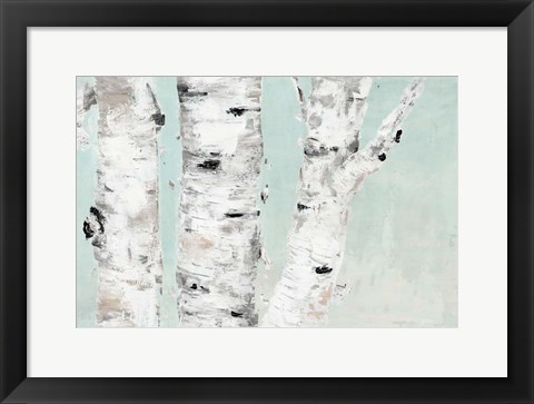 Framed Birch Tree Close Up Print