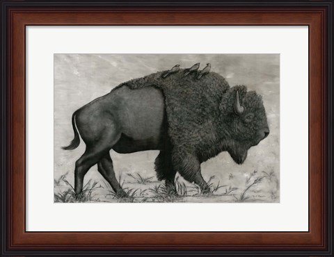 Framed Basking Buffalo Print