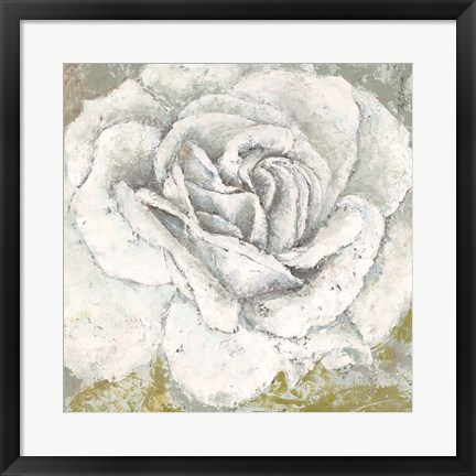 Framed White Rose Blossom Square Print