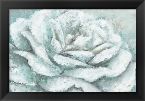 Framed White Rose Splendor Print