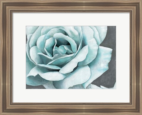 Framed Rose Bloom Print