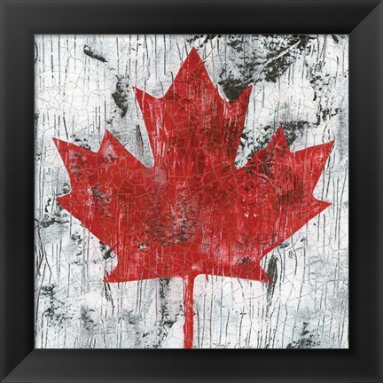 Framed Canada Maple Leaf I Print