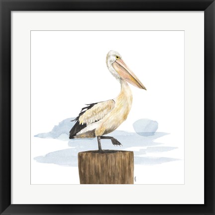 Framed Birds of the Coast on White III Print