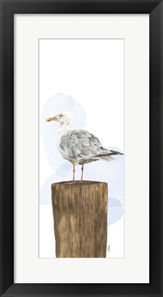 Framed Birds of the Coast Panel IV Print