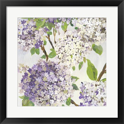 Framed Summer Hydrangea I Print