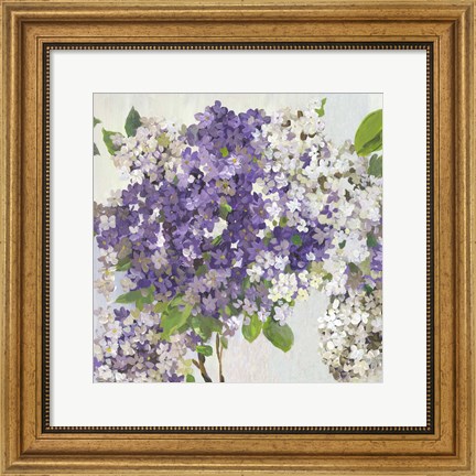 Framed Summer Hydrangea II Print