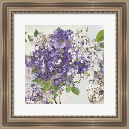 Framed Summer Hydrangea II Print