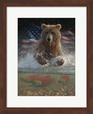 Framed Brown Bear Fishing America Print