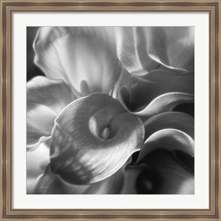 Framed Calla Lillie Bouquet Print