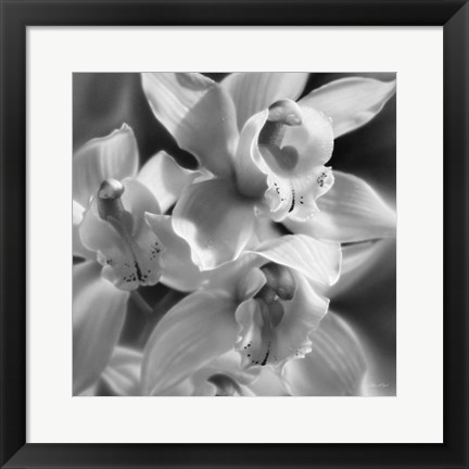 Framed Orchids - B&amp;W Print