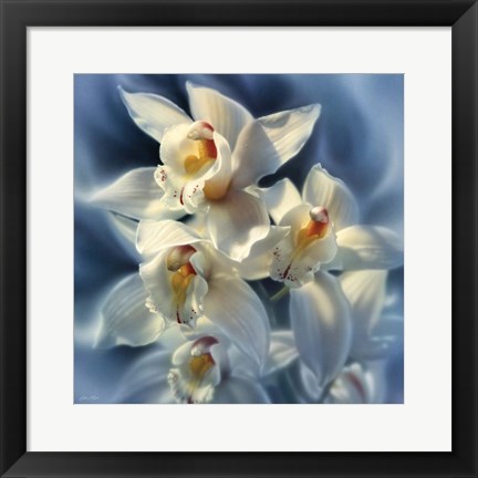 Framed Orchids Print