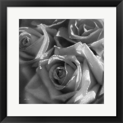 Framed Rose Pedals B&amp;W Print