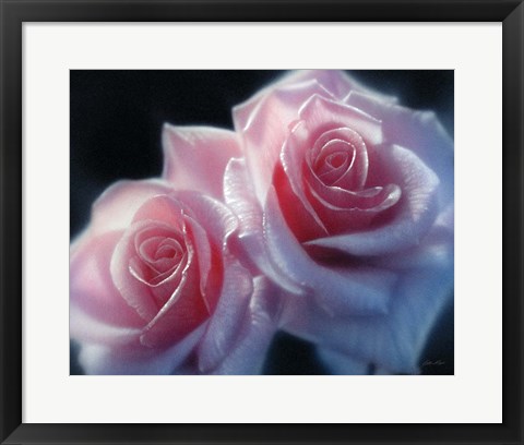 Framed Roses - Pink Pair Print