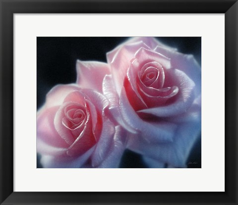 Framed Roses - Pink Pair Print