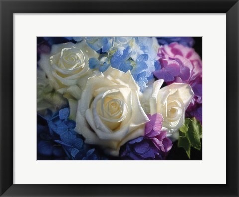 Framed White Roses - Dancing Light Print