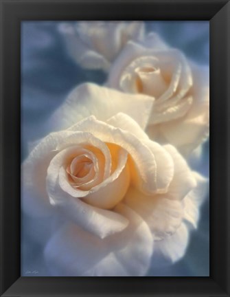 Framed White Roses - Unforgettable Print