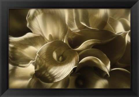 Framed Golden Lilies Print