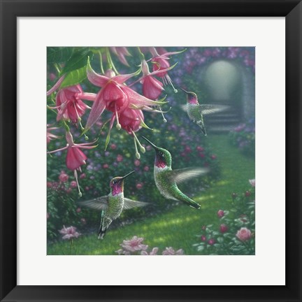 Framed Hummingbird Haven - Square Print