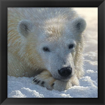 Framed Polar Bear Club Print