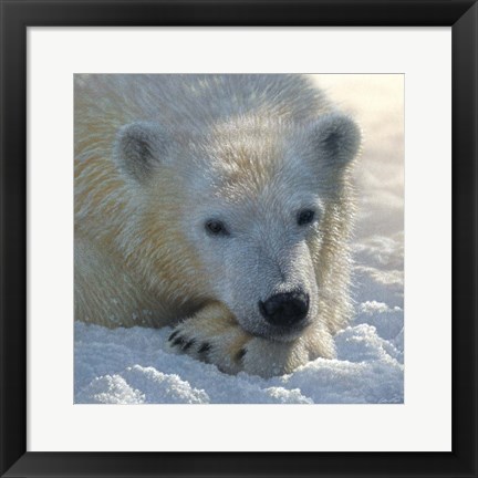 Framed Polar Bear Club Print