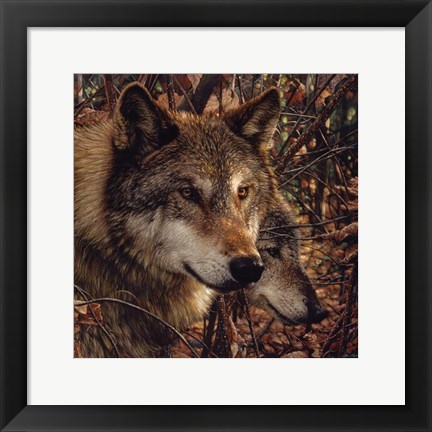 Framed Autumn Wolves Print