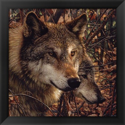 Framed Autumn Wolves Print