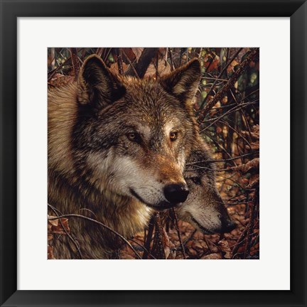 Framed Autumn Wolves Print