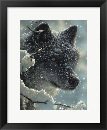 Framed Black Wolf - Black in White Print