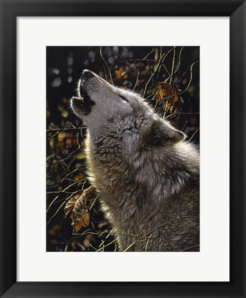 Framed Howling Wolf - Songs of Autumn Print