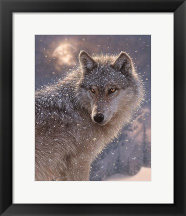 Framed Lone Wolf Print