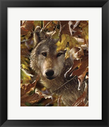 Framed Wolf - Autumn Shadows Print