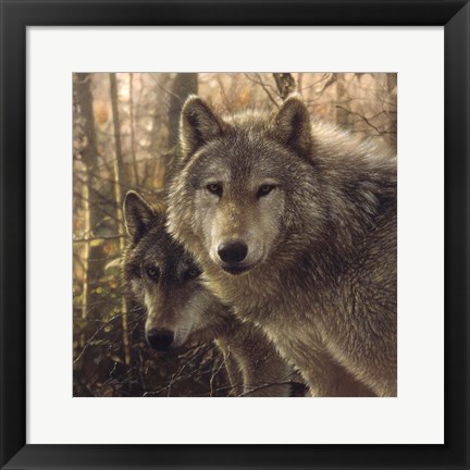 Framed Wolves - Woodland Companions Print