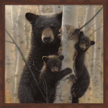 Framed Black Bear Mother and Cubs - Mama Bear Print