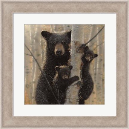 Framed Black Bear Mother and Cubs - Mama Bear Print