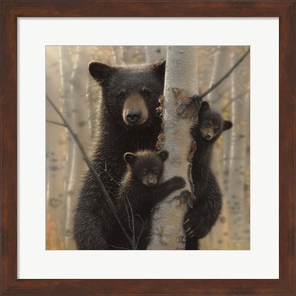 Framed Black Bear Mother and Cubs - Mama Bear Print