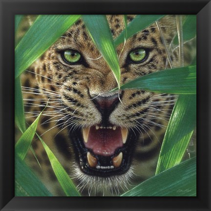 Framed Jaguar - Ambush Print