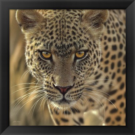 Framed Leopard - On the Prowl - Square Print