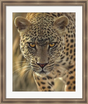 Framed Leopard - On the Prowl Print