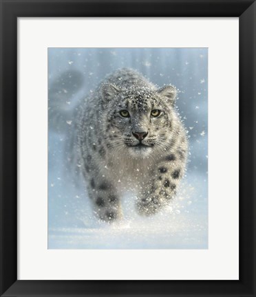 Framed Snow Leopard - Snow Ghost - Vertical Print