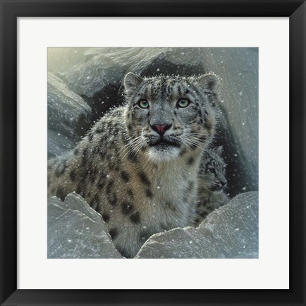 Framed Snow Leopard - The Fortress Print