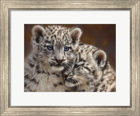 Framed Snow Leopard Cubs - Playmates - Horizontal Print