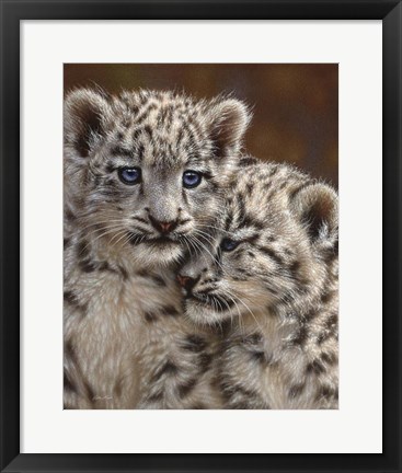 Framed Snow Leopard Cubs - Playmates Print