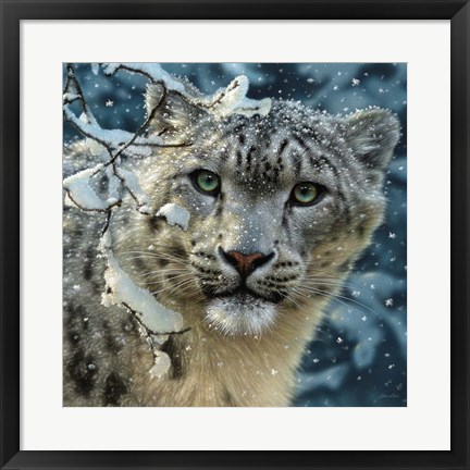 Framed Snow Leopard Print