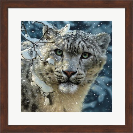 Framed Snow Leopard Print