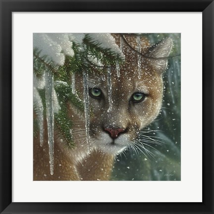 Framed Cougar - Frozen Print